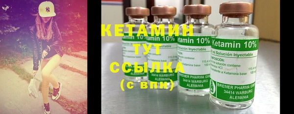 индика Богородицк