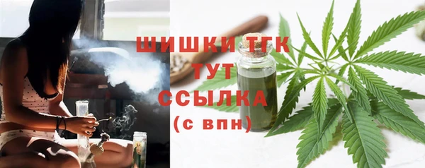 индика Богородицк
