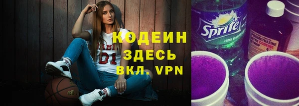 индика Богородицк