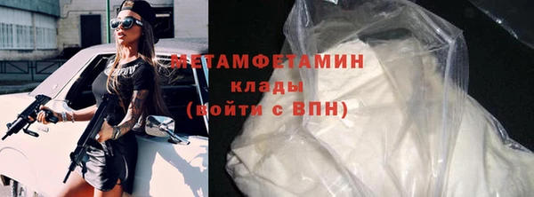 индика Богородицк