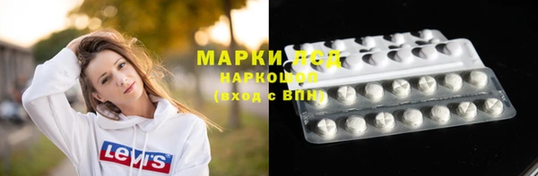 индика Богородицк