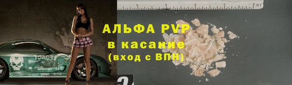индика Богородицк