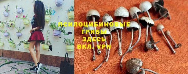 ALPHA PVP Богородск