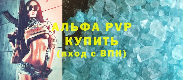 индика Богородицк