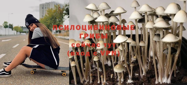 ALPHA PVP Богородск