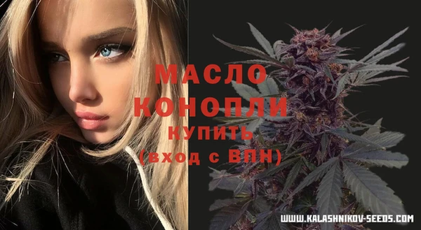 индика Богородицк