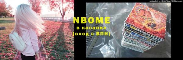 индика Богородицк